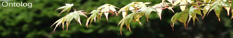 File:Ontolog.png